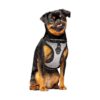 Adjustable Dog Walking Harness with Reflective No Pull Design for Small to Large Dogs