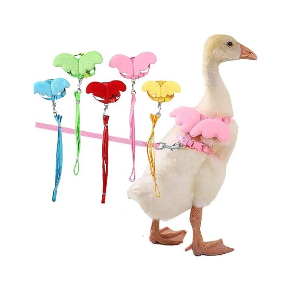 Adjustable Duck Chicken Goose Hen Walking Harness Leash for Outdoor Training