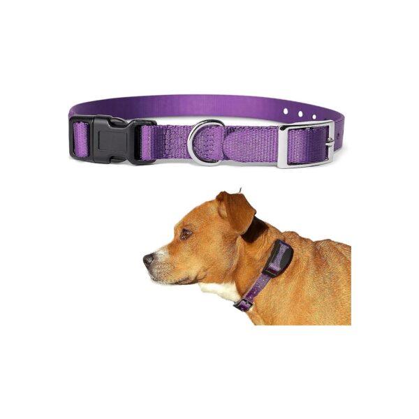 Adjustable E-Collar Replacement Strap for Small to Large Breed Dogs with Purple Color