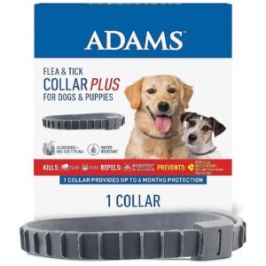 Adjustable Flea and Tick Collar for Dogs and Puppies with 6-Month Protection