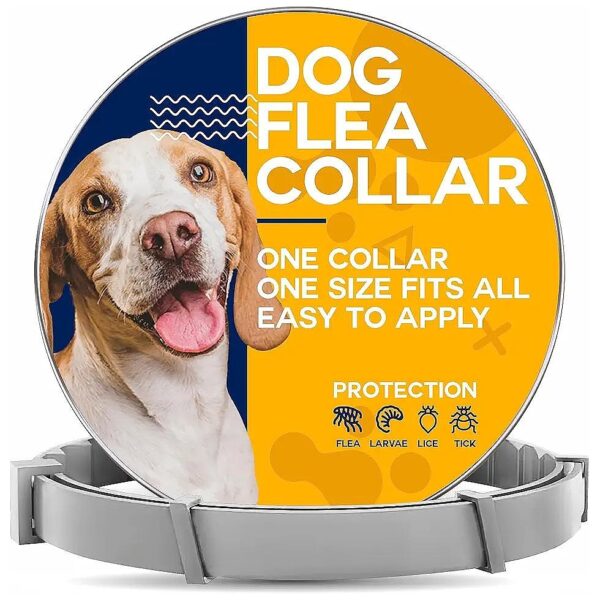 Adjustable Flea and Tick Prevention for Dogs with Buckle Closure