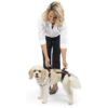 Adjustable Full Body Dog Support Harness for Assisting Small Dogs with Limited Mobility