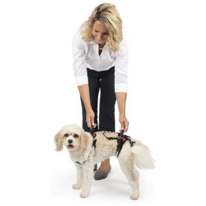 Adjustable Full Body Dog Support Harness for Assisting Small Dogs with Limited Mobility