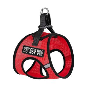 Adjustable Girth Nylon Harness with Reflective Accents for Puppies to Large Dogs