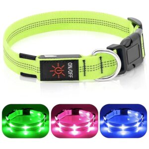 Adjustable Glow in the Dark Dog Collar with USB Rechargeable LED Strip for Medium Puppies