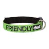 Adjustable Green Nylon Collar with Wording for Small to Medium Dogs Preventing Accidents