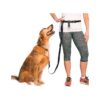 Adjustable Hands-Free Dog Leash for All Dog Sizes and Activities