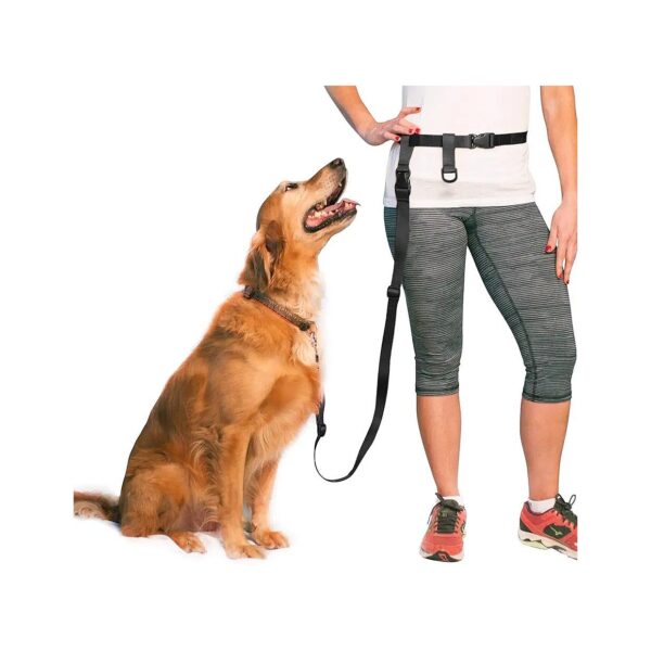 Adjustable Hands-Free Dog Leash for All Dog Sizes and Activities