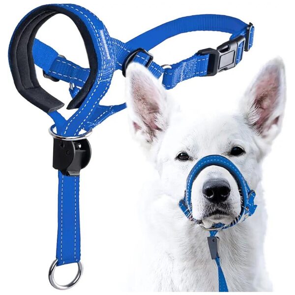 Adjustable Headcollar for Small Medium and Large Dog Sizes Blue Nylon