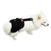 Adjustable Heated Dog Hip Support for Small Breeds with Joint Pain and Arthritis