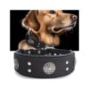 Adjustable Heavy Duty Genuine Leather Dog Collar in Black for Large and Medium Breed Dogs