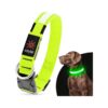 Adjustable LED Dog Collar for Large Dogs with Green Color and Multiple Glow Modes