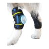 Adjustable Large Size Dog Leg Braces for Canine Rear Hock and Ankle Support