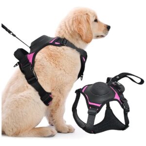 Adjustable Leash Clips for Training, Hunting, and Walking Medium to Large Dogs