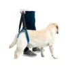 Adjustable Leg Support Dog Harness for Senior, Disabled Dogs