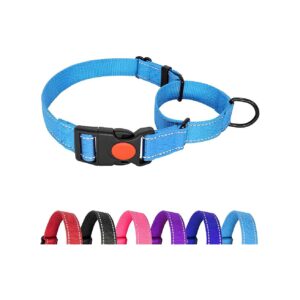 Adjustable Light Blue Martingale Collar for Small Breed Dogs with Safety Lock and Buckle