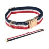 Adjustable Luxury Dog Collar with Metal Buckle for Small Dogs and Puppies