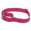 Adjustable Martingale Dog Collar for Slip-Away Prevention in Pink