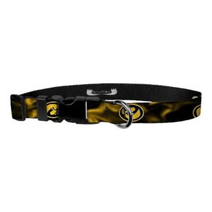 Adjustable Medium 3/4 Inch Wide Gold Smoke Hawk Dog Collar from University of Iowa