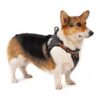 Adjustable Medium Orange Dog Harness Vest with Back Front Clip for Better Control