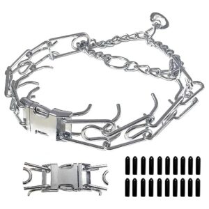 Adjustable Metal Buckle Dog Collar for Small Medium and Large Dogs