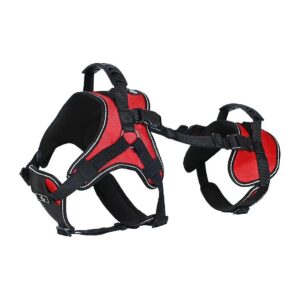 Adjustable Neoprene Dog Harness for Front-Only and Full-Body Lifting