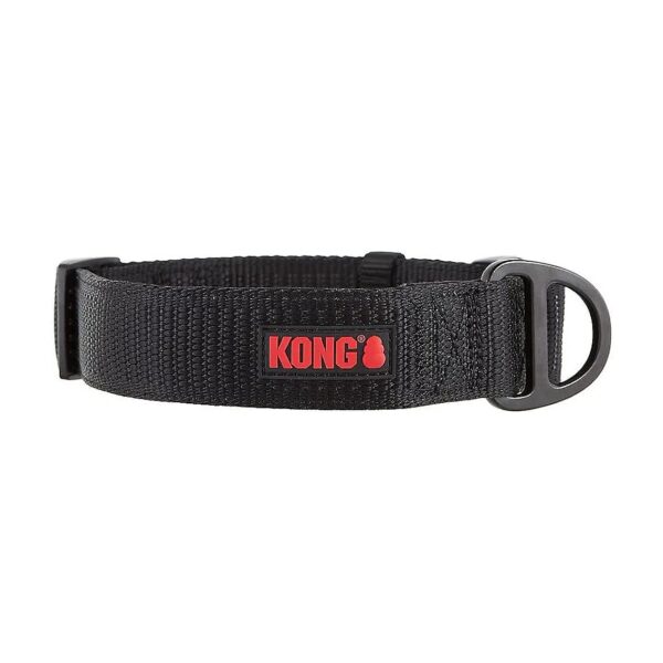 Adjustable Neoprene Padded Dog Collar with Metal Hardware for Optimal Comfort