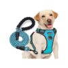 Adjustable No Pull Dog Harness with Heavy Duty Leash for Easy Control and Comfort