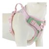 Adjustable No Pull Dog Harness with Soft Padded Fabric and Metal Rings