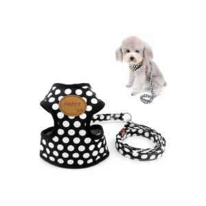 Adjustable No Pull Mesh Padded Vest Leash Set for Small to Medium Size Dogs