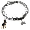 Adjustable No- Pull Prong Collar with Steel Dog Tag and Buckle Release Black