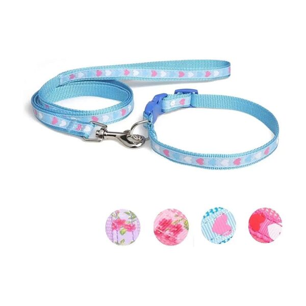 Adjustable Nylon Collar and Leash Set for Small to Medium Dogs