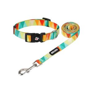 Adjustable Nylon Collar and Leash Set with Yellow Flag for Big Dogs