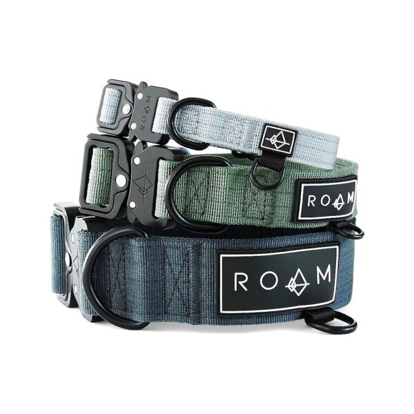 Adjustable Nylon Dog Collar with Quick-Release Metal Buckle for Size 3 Colorado Nightsky