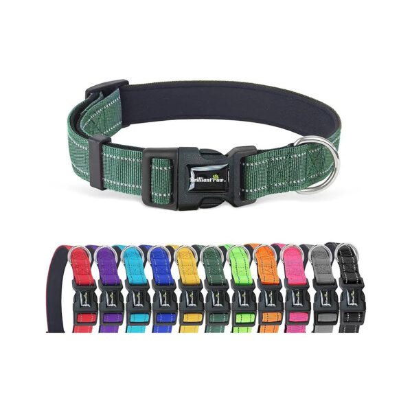 Adjustable Nylon Dog Collar with Reflective Stitching for Small Medium and Large Dogs