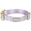 Adjustable Nylon Dog Collar with Safety Metal Buckle for Small Medium Large Puppy Dogs