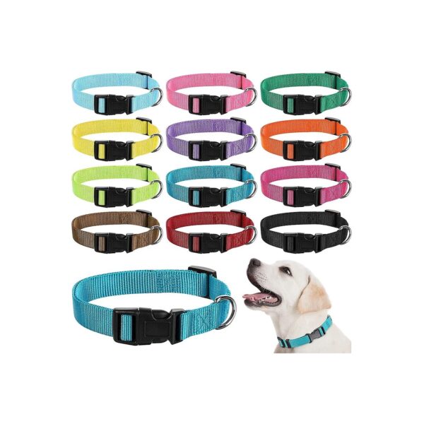 Adjustable Nylon Dog Collars with Quick Release Buckle for Medium Dogs