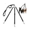 Adjustable Nylon Dog Leash with Three Leashes in One for Pet Owners