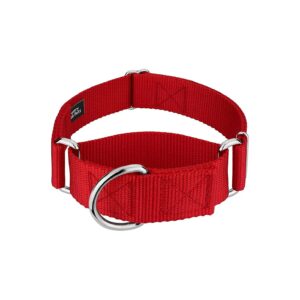 Adjustable Nylon Martingale Collar for Small Medium Large Breeds with Patterned Straps