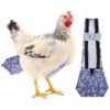 Adjustable Pet Diaper for Chickens with Fastener Closure Polyester Material