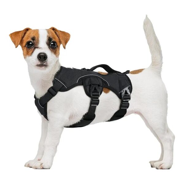 Adjustable Pet Harness with Leash Clip and Lift Handle for Walking and Hiking