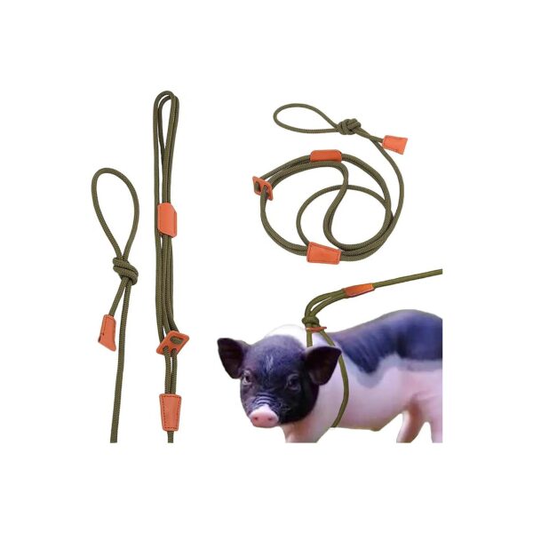 Adjustable Pig Harness and Leash for Miniature Pet Pigs Training and Walking Needs