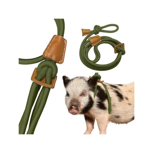 Adjustable Pig Harness and Leash for Small and Medium Pigs