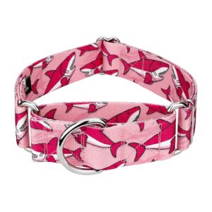 Adjustable Pink Sharks Martingale Collar for Small to Large Breed Dogs, 1 1/2 Inch Wide