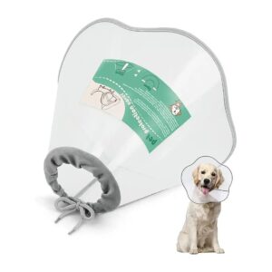 Adjustable Plastic Dog Cone Collar for Wound Healing and Recovery After Surgery