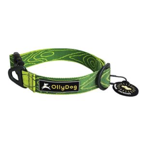 Adjustable Polyester Collar with Secure Buckle and Durability, Sage Bark Color