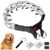 Adjustable Prong Collar for Dog Training with Adjustable Length and Release Buckle