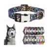 Adjustable Puppy Collar for Xs Small Medium Large Breed Female Dogs with Easy Closure