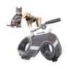 Adjustable Puppy and Cat Harness with No Pull Design for Small Breed Dogs in Grey