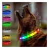 Adjustable Rechargeable LED Dog Collar for Night Walking with Glow-in-the-Dark Colors